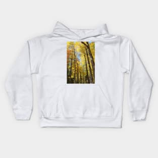 Autumn sun through the trees Kids Hoodie